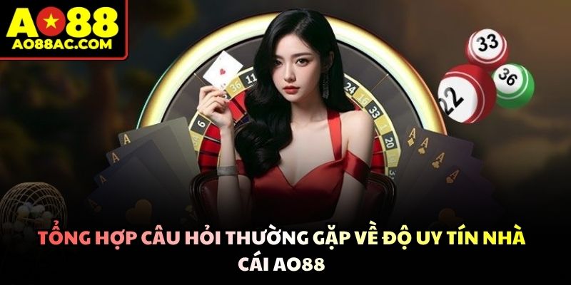 Hệ thống lưu trữ công khai hỗ trợ thành viên tra cứu thông tin nhanh chóng