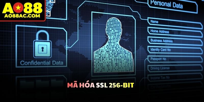 Hệ thống mã hóa ký tự tối tân bảo vệ toàn diện dữ liệu giao dịch tài chính