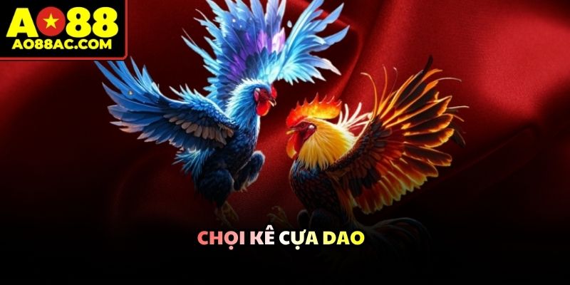 Trận đấu đá gà AO88 diễn ra nhanh chóng với cú đá bằng cựa dao sắc bén