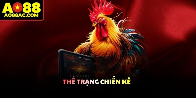 Sư kê tiến hành phân tích vóc dáng và sắc lông gà trước giờ thi đấu