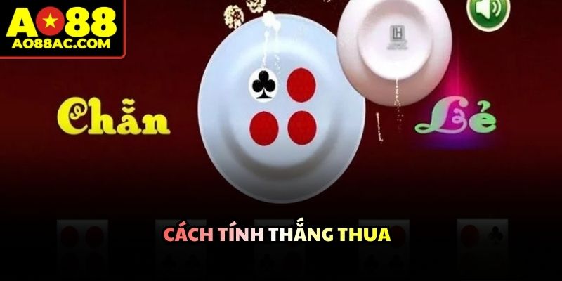 Dàn dealer xinh đẹp thực hiện thao tác lắc đĩa công khai trước camera giám sát